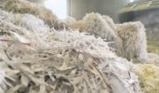 Proper Document Shredding: Best Practices for Businesses and Individuals Everything You Need to Know