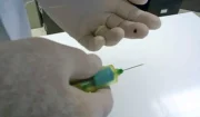 Accidental Needle Stick Virginia What Next