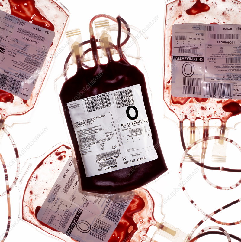 How To Treat Biomedical Waste