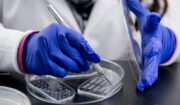 How To Treat Medical Waste In Healthcare