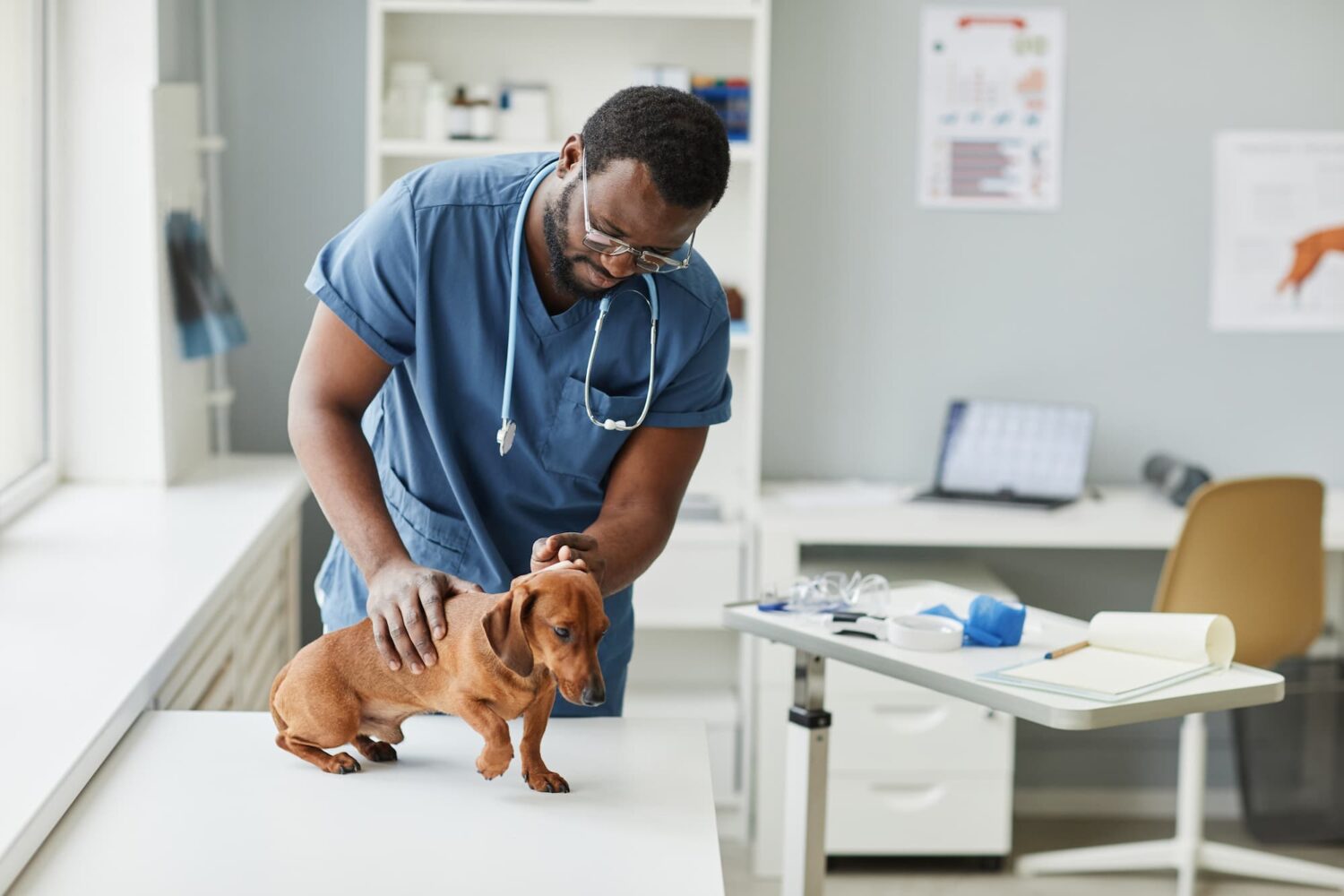 Types of Veterinary Medical Waste