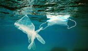 Medical Waste Destroying Our Oceans