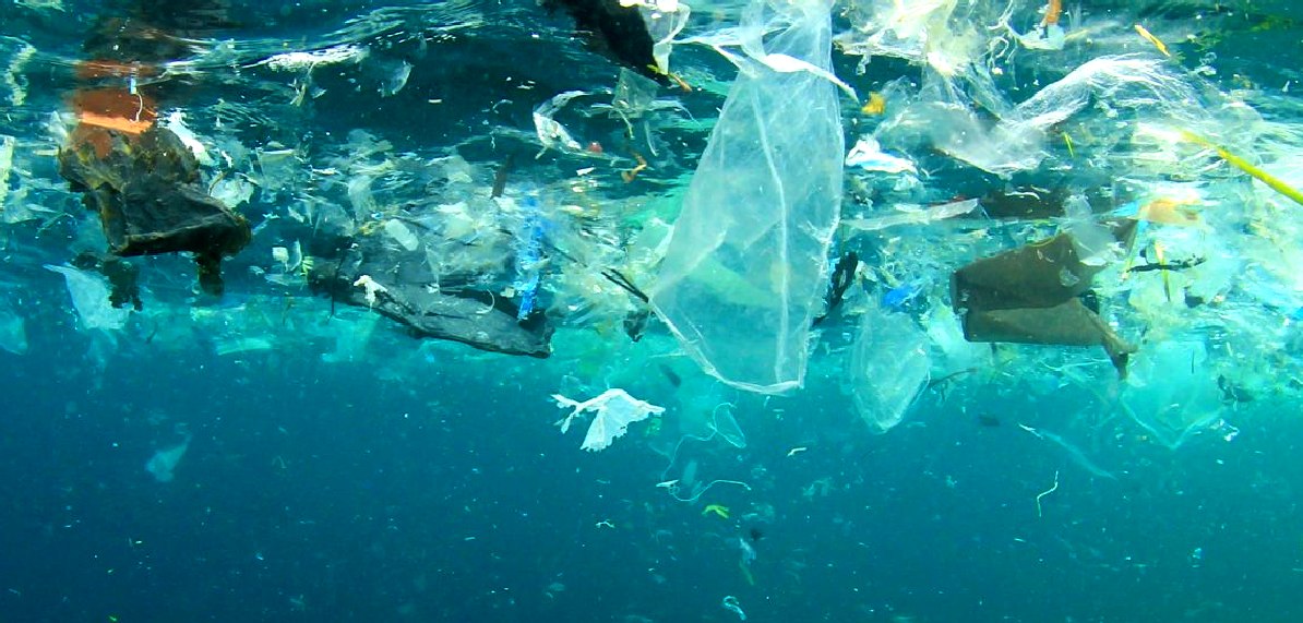 Medical waste, polythene, marine litter, and plastics are significant contributors to ocean pollution.