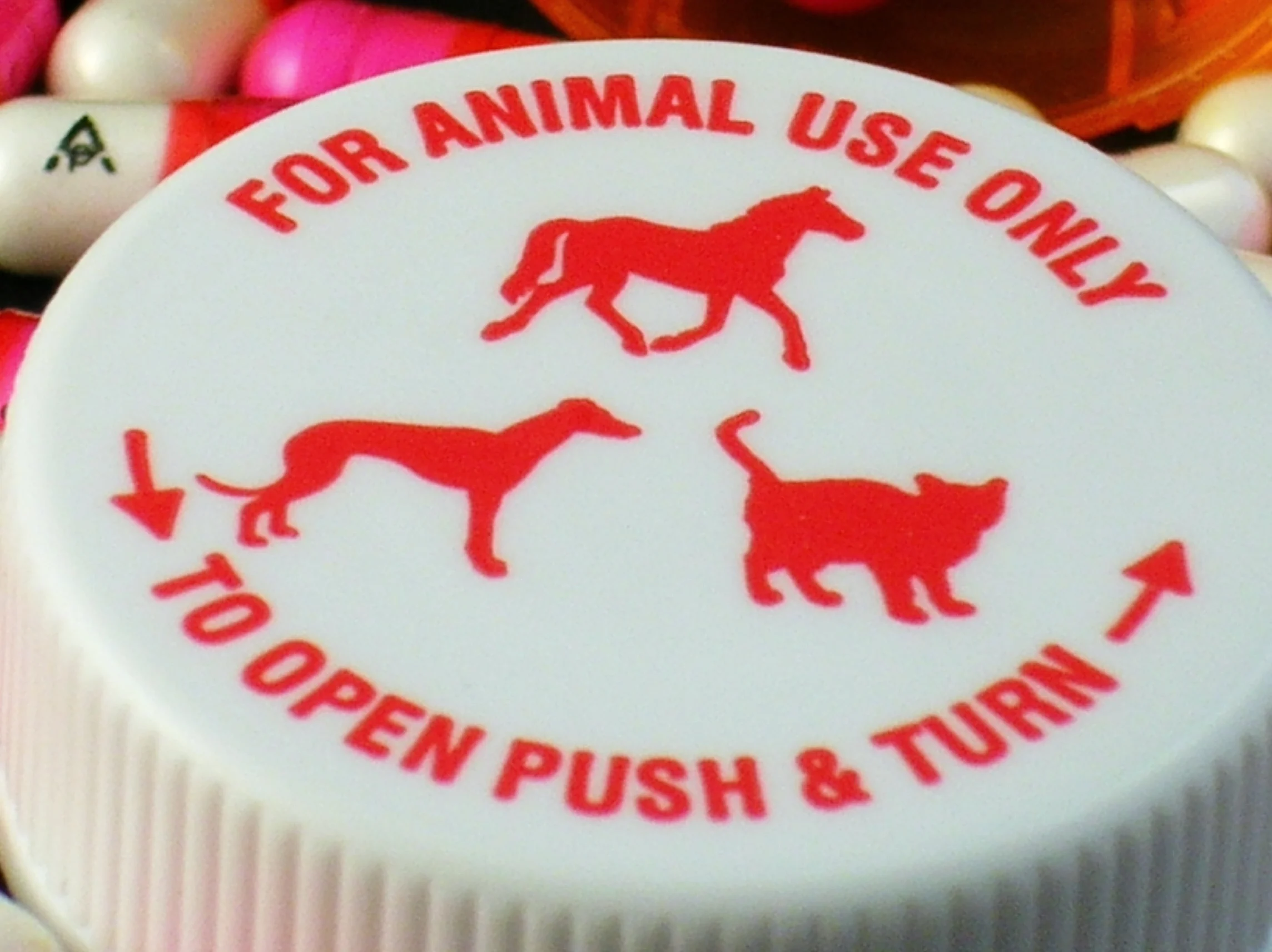 A Growing Concern Drug diversion In Veterinary Settings - Secure Waste A Growing Concern Drug diversion In Veterinary Settings