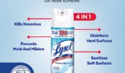 Does Lysol Kill Influenza