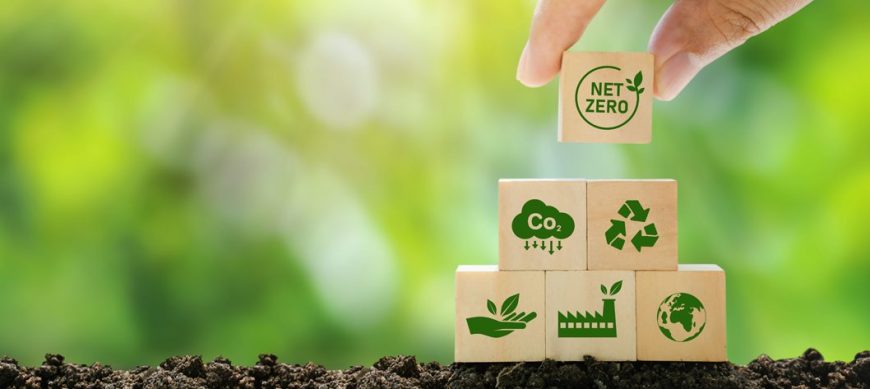 How to Choose an Eco-Conscious Healthcare Waste Partner