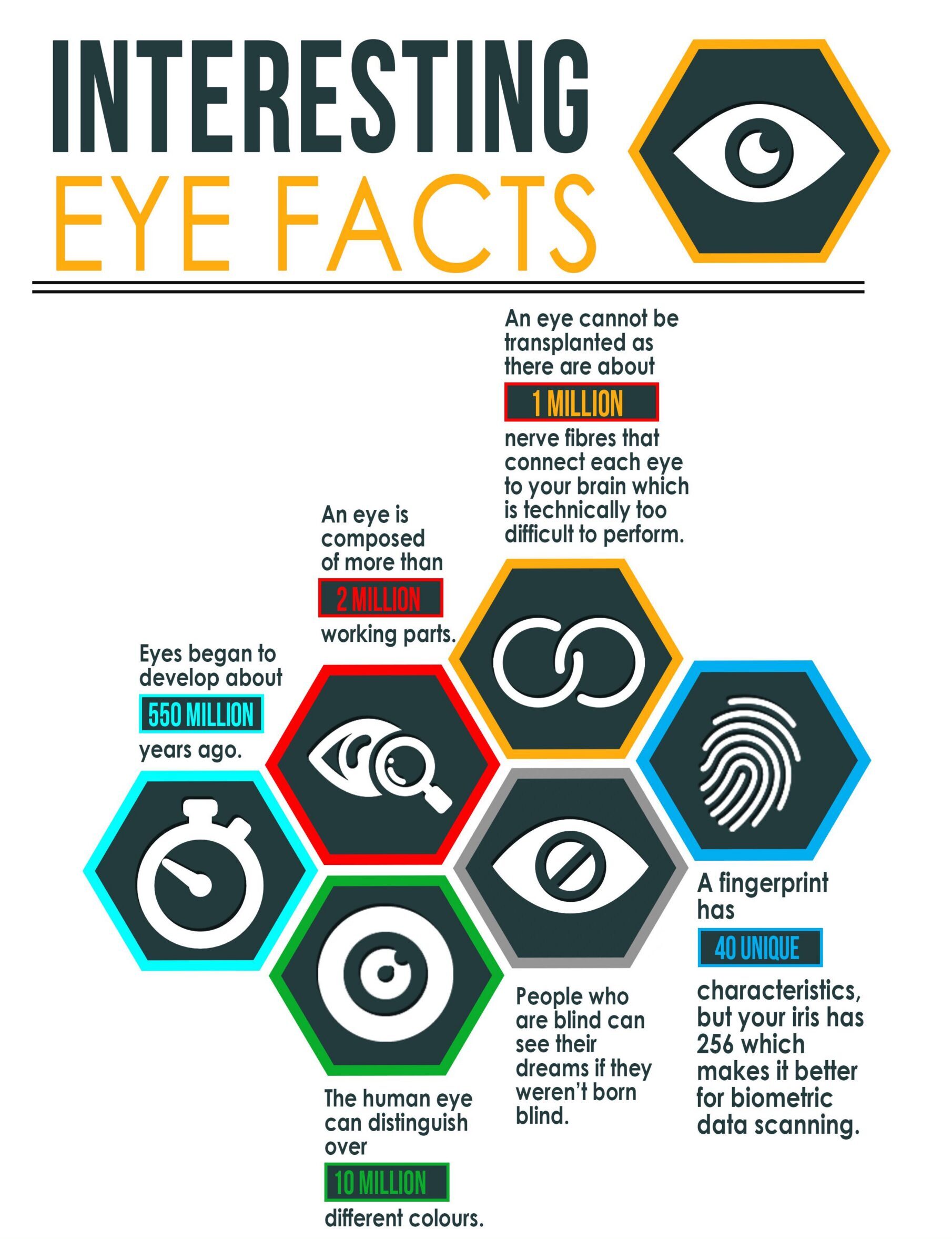 Interesting Eye Facts Before Your Eye Exam