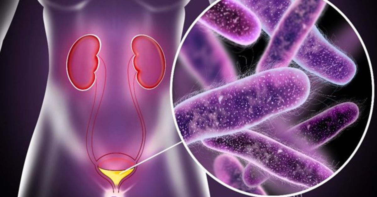 What Are Hospital-Acquired Infections UTI - Secure Waste What Are Hospital-Acquired Infections UTI