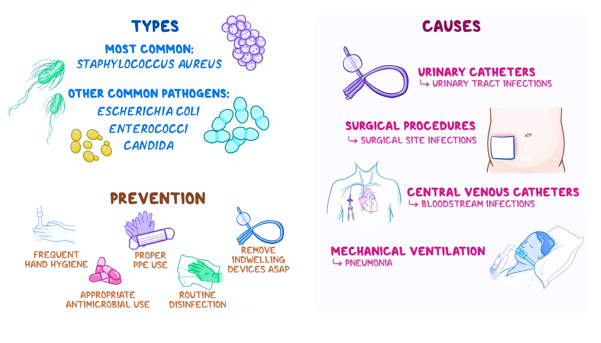 What Are The Most Common Nosocomial Infection In Hospitals