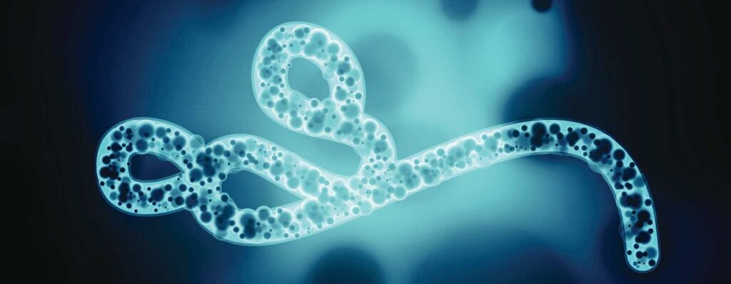 Category A Infectious Substances