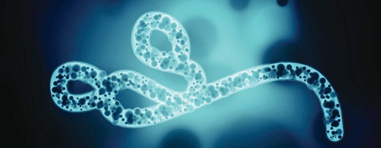 Category A Infectious Substances