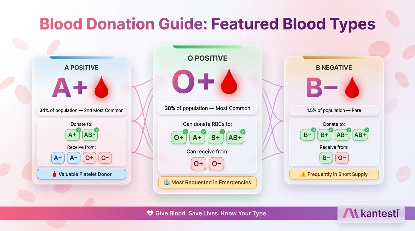 In-Depth Key Facts About O-Positive Blood