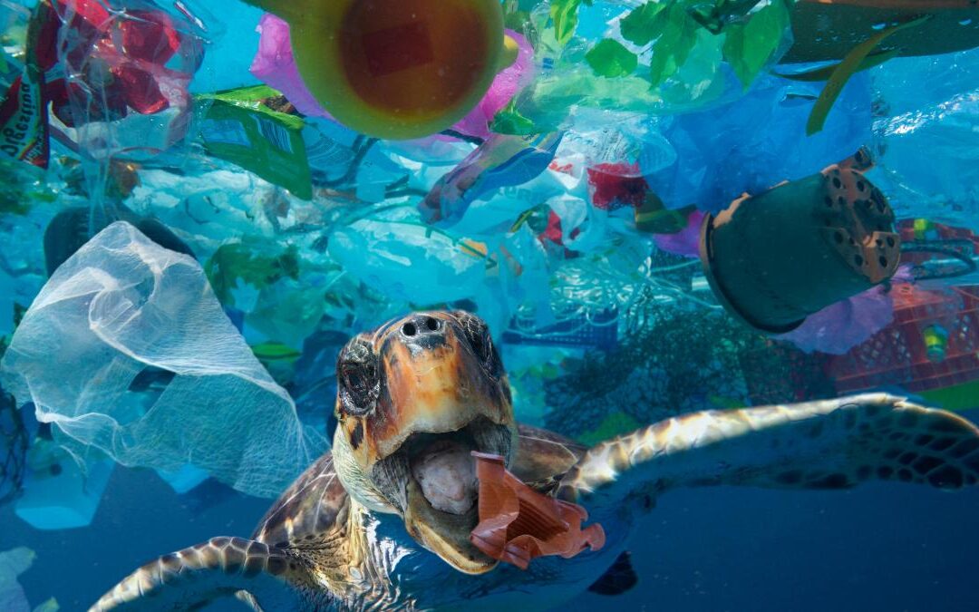 What Is Recycling And Why Is It Important - Secure Waste What Is Recycling And Why Is It Important