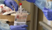 What Is Healthcare Waste Management